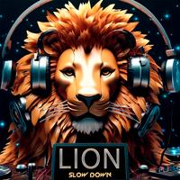SLOW DOWN - Lion