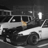 soviss - kitty phonk