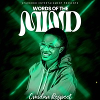 Sound cover