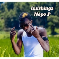 Imishinga