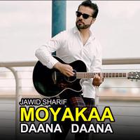 Moyakaa Daana Daana