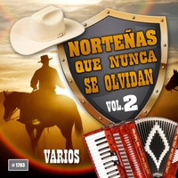 Ramon Ayala y Los Bravo Del Norte - Chaparra De Mi Amor | TikTok