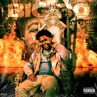BIG30 - FUNCTION