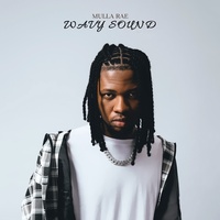 Sound cover