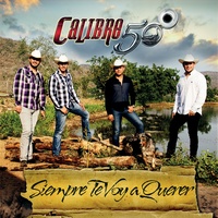Sound cover