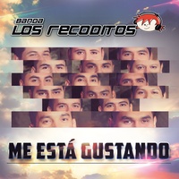 Sound cover