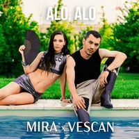 Sound cover