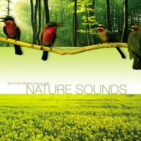Nature Project - Primavera
