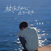 被伤过的心还可以爱谁