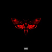 Lil Wayne - Trippy