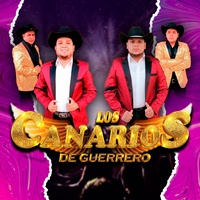 puro956 #rgv956 #laplazamall956 #riograndepremiumoutlets ...