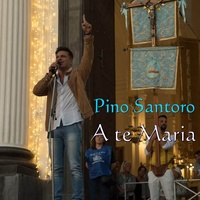 Sound cover
