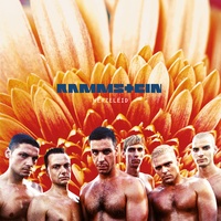 Rammstein - Laichzeit