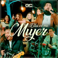 Sound cover