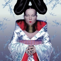 Bjork - Hunter