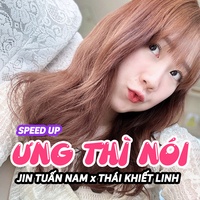 Sound cover