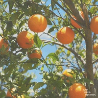 kust - Citrus