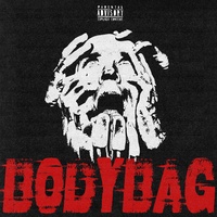 Sect Unit - Body Bag