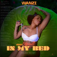 Wanzi & JdM Officiall - In My Bed