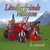Walopsee-Stimmig Medley