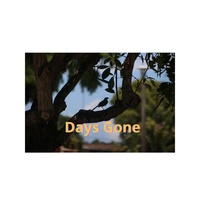 Days Gone