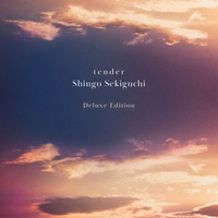Shingo Sekiguchi - Elevator Lover