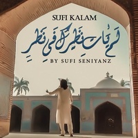 Waseem Ahmed - Lamyati Nazeero Kafi Nazarin | TikTok