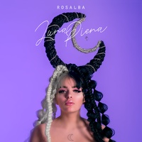 Sound cover