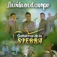 Sound cover