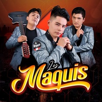 Sound cover