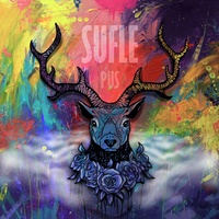 Sufle - Pus