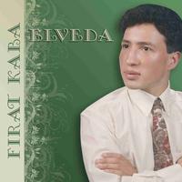 Elveda