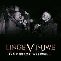 Lingevinjwe