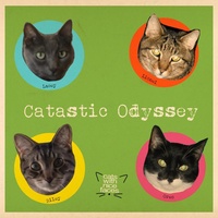 Catswithnicefaces - Feed Me