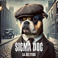 Lil Big Stack - Sigma Dog | TikTok