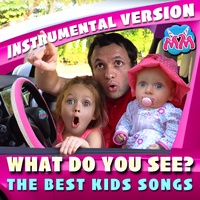 Sound cover