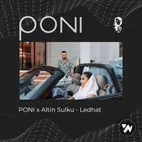 Poni - Ledhat