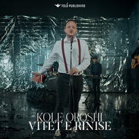 Vitet e rinise