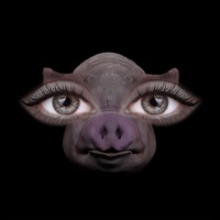 Sofia Isella - Us and Pigs