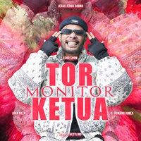 Tor Monitor Ketua