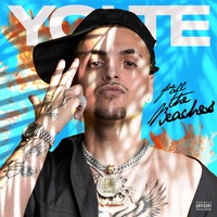 Yolte - MF