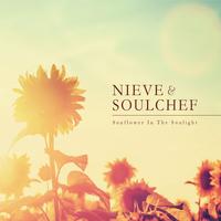 Nieve - Write This Down