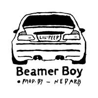 Sound cover