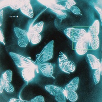 chrome butterflies