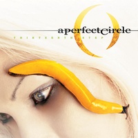 A Perfect Circle - Gravity