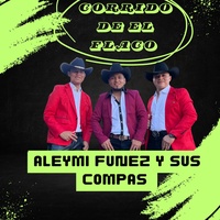 Sound cover