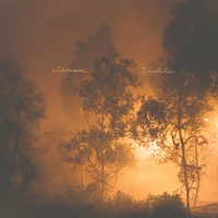 Mandolin Orange - Wildfire