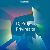 Sound cover