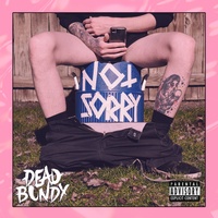 Sound cover