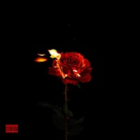 BURNING ROSES